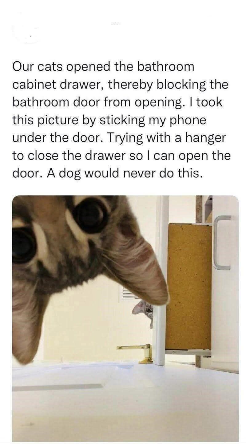 707693556_1041876088197081_6047832248546284981_n.jpg