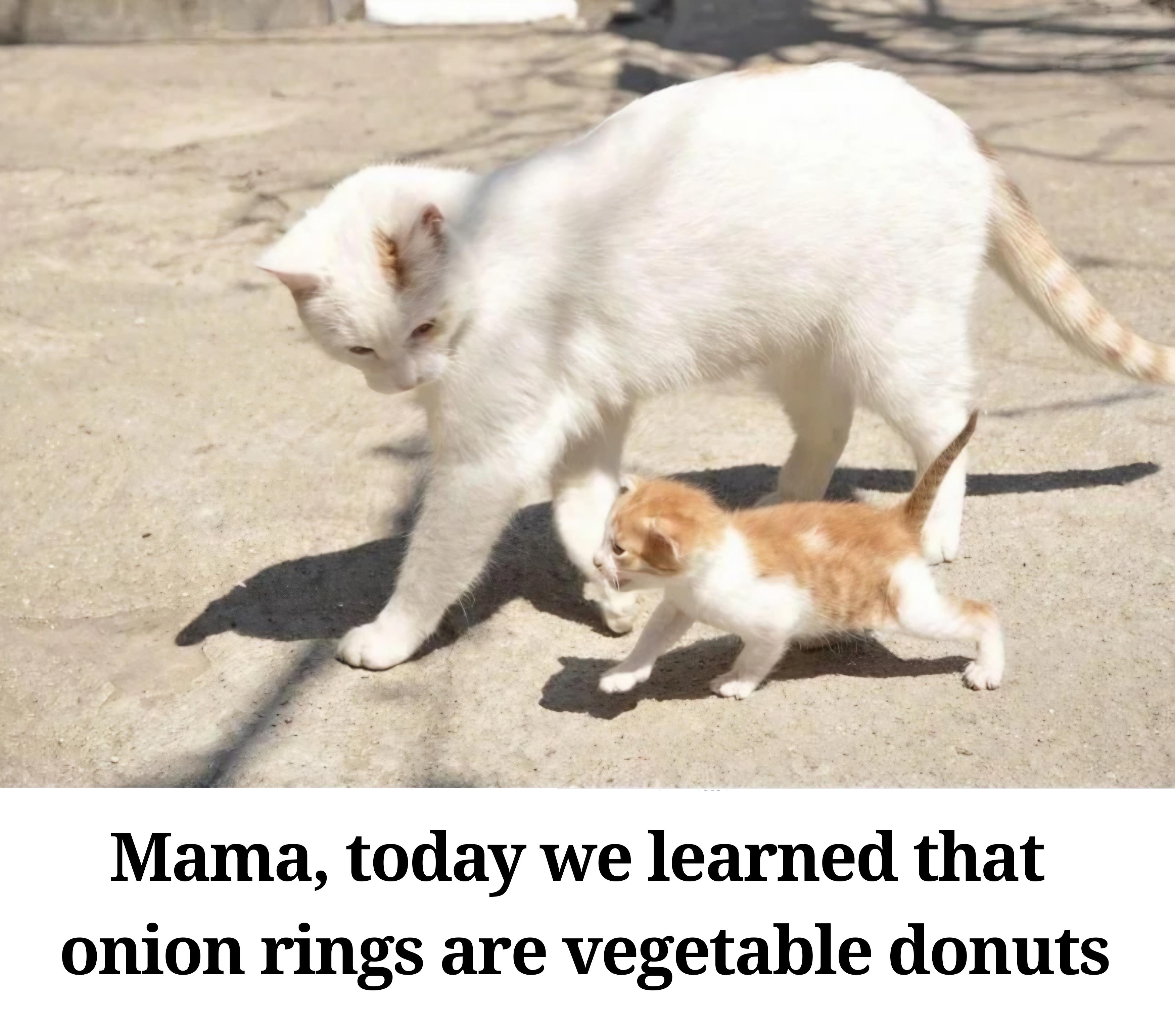 uu4yt55hl2dh1.jpeg