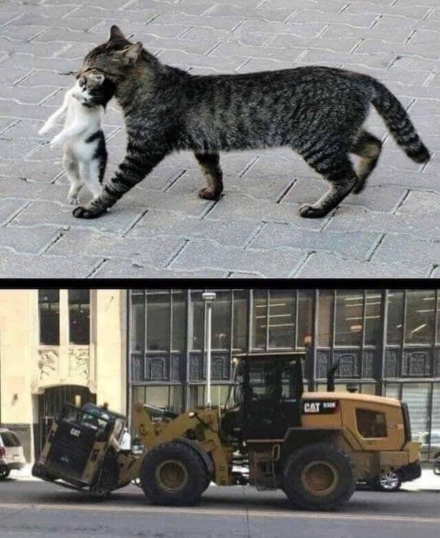 0byxycnl2eph1.jpeg
